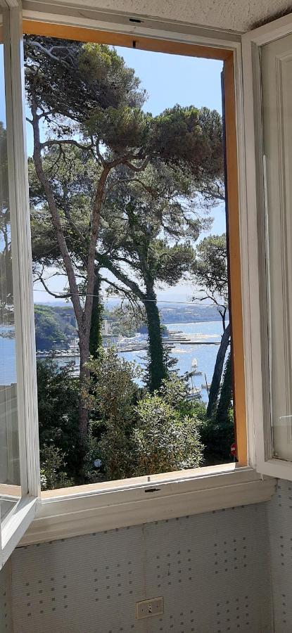 Villa Violetta Castiglioncello Exterior photo