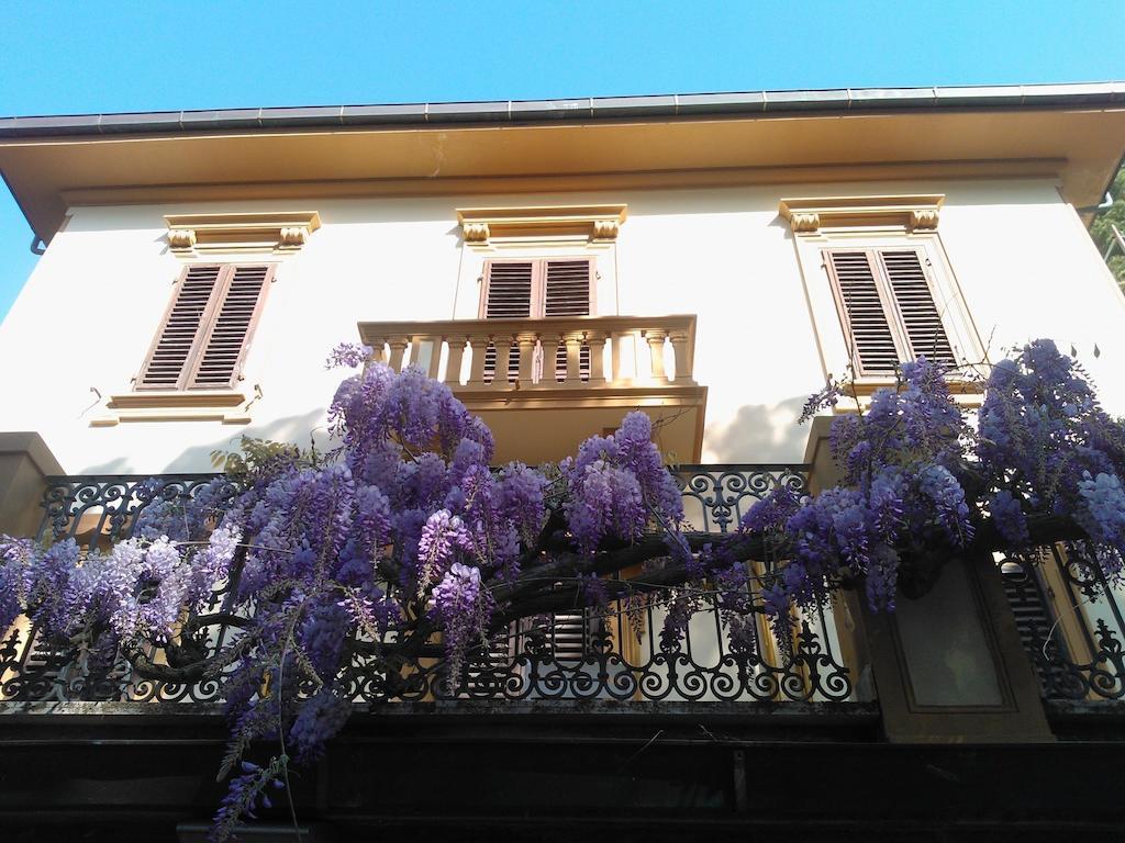 Villa Violetta Castiglioncello Exterior photo