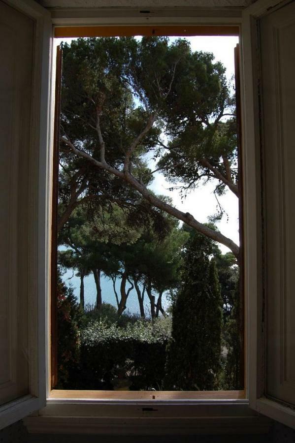Villa Violetta Castiglioncello Exterior photo